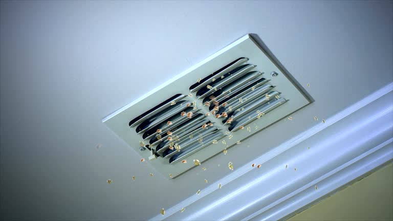 Best Local Air Duct Cleaning Services  in Oglala, SD